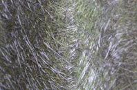 Mudgley fibreglass roof work